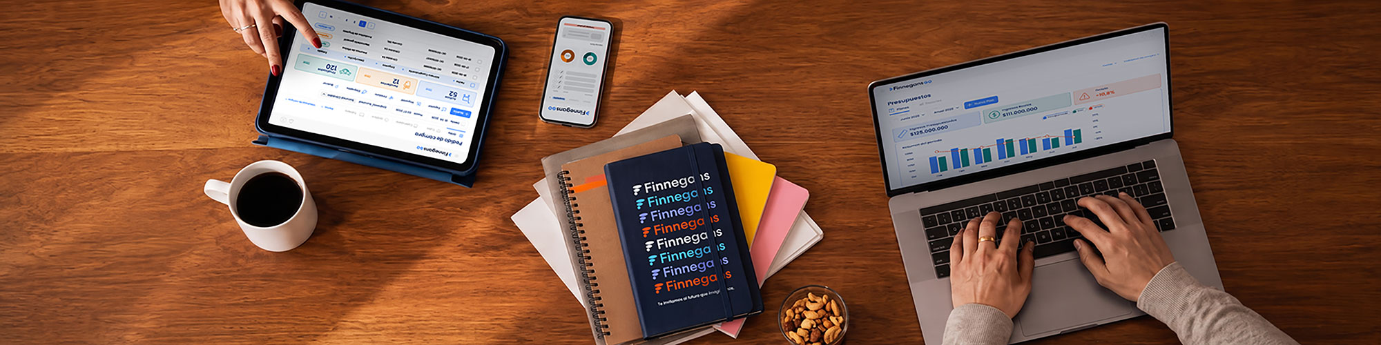 Finnegans GO en escritorio, tablet y celular